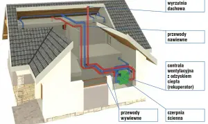 Schemat nowoczesnego projektu wentylacji mechanicznej z rekuperatorem, pokazujący rozprowadzenie przewodów nawiewnych i wywiewnych w domu.