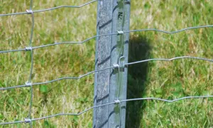 Szczegółowe mocowanie siatki ogrodzeniowej do metalowego słupka, z widocznym drutem i zapięciami.