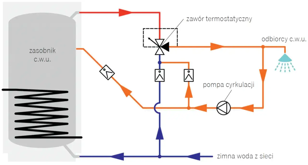 Schemat instalacji cwu: zasobnik, zawór termostatyczny, pompa cyrkulacji i odbiorcy cwu. Zimna woda z sieci zasila system.